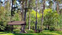 Ferienhaus am Wald in Basedow