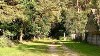 Ferienhaus am Wald in Basedow