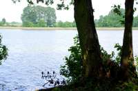 Angeln am Loppiner see