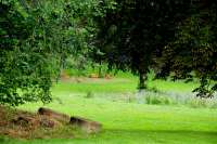 Park Gut Ulrichshusen