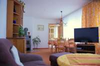 Wohnraum mit Kamin und TV